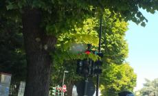A Parma, il semaforo che gioca "ala scondróla" in italiano sarebbe a "nascondino"