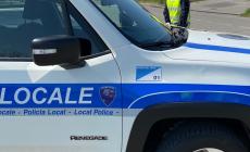 Cane tenuto in una gabbia strettissima, senz'acqua e tra gli escrementi: intervento in un appartamento