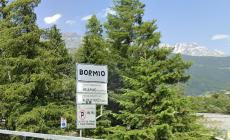 Vacanze da incubo in Valtellina: febbre, tosse e vomito per cento ragazzi, punture di zecche per un altro gruppo