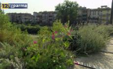 Meteo, caldo senza eccessi fino a venerd&igrave;, poi instabilit&agrave; - Video