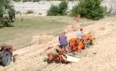 A Calestano, la mietitura e la trebbiatura del grano come una volta - Video