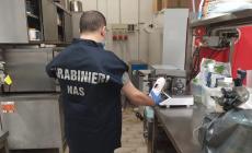 Controlli dei Nas di Parma: in una gelateria in città 20 kg di prodotti scaduti e in un'altra carenze igienico sanitarie