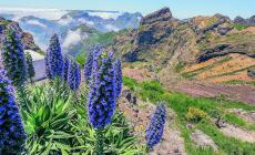Madeira, l'isola che c'è 