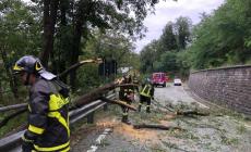 Grandine sull'Appennino: avviata la conta dei danni. Regione verso lo stato di crisi. E per venerd&igrave; &egrave; "allerta gialla"