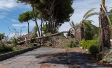 Maltempo: ancora una ventina di sfollati a Massa e Carrara (molti sono turisti)