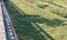 "Rifiuti nel greto del torrente: l'area è stata completamente ripristinata. E a breve in viale Mariotti saranno ricollocati due cestini"