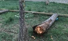 Cede la trave dell'altalena, muore una bambina di 12 anni 