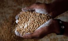 Slow Food: "5 azioni per contrastare la crisi alimentare"