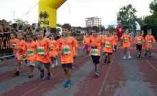 Parma Kids, il Campus si trasforma in una... mini olimpiade -Le foto