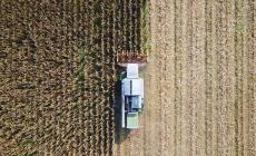 Agroalimentare, la produzione nel 2023 è calata a causa dell'alluvione. Ma l'export è cresciuto come l'output dell'industria alimentare