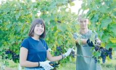 Al Bocchialini e al Galilei è tempo di vendemmia 