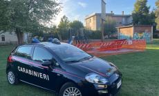  L'autore dell'incendio a Torrile &egrave; un 12enne che con degli amici voleva allontanare le zanzare con il fumo