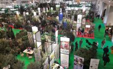 Flormart lancia la campagna per la "riforestazione urbana"