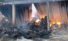 Ozzano, incendio in un'azienda agricola - Video