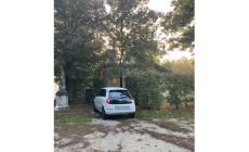Parcheggio selvaggio al Parco  Ducale: c'è chi l'ha fatto