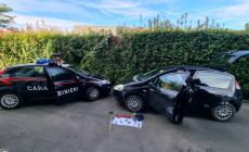 Inseguimento sulla provinciale per Noceto: l'auto finisce in un campo, il ladro fugge ma bottini recuperati. Di chi sono?