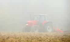 La nebbia &egrave; tornata nella Bassa - Foto