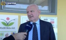 L'assessore regionale Colla a Food Farm 4.0: «Ue fermi speculazione sull'energia»
