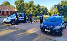 Torrile e Colorno, controlli nei parchi e sulle strade: 57 multati, 6 patenti ritirate, 3 denunciati perché ubriachi alla guida
