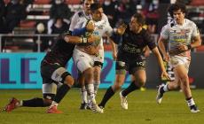 Il cammino delle Zebre in coppa comincia il 10 dicembre a Parma contro Tolone
