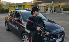 Dopo un furto in casa a Traversetolo semina il panico nella folle fuga su un furgone rubato a Collecchio: arrestato