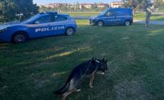 Il fiuto di Quan e Lara scova l'hashish nascosto al Parco Nord. E anche addosso a quattro persone in stazione - Foto
