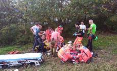 Cacciatore punto da un imenottero  mentre era alla guida cade  in  una scarpata con l'auto