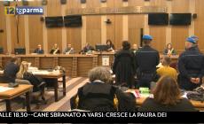 Omicidio Juana Cecilia: seconda udienza in tribunale a Reggio - Video