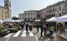 Successo a Colorno per la nuova edizione di «Sulla strada del Giglio»