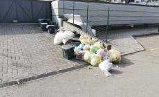 Via Scotti, discarica a cielo aperto. "Self service per felini e ratti. E che profumo..."