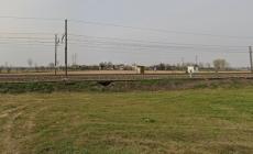  Due persone investite e uccise dal treno vicino a Pavia: sospesa la circolazione ferroviaria tra Milano Rogoredo e Pavia 