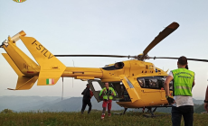 Punto da un calabrone, muore 65enne a Scurano
