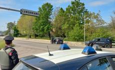 Fuggono dal supermercato dopo il furto di superalcolici: ma incappano in un determinato carabiniere fuori servizio
