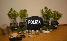 Parma, aveva costruito una serra per far crescere la marijuana, trovate 9 piante: 35enne arrestato