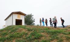 Nasce il  rifugio nel Bosco Mutti: pronta una casa per le rondini