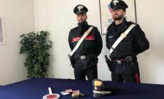 Alla vista dei carabinieri nasconde due panetti di hashish nel cavo di un albero: arrestato 20enne