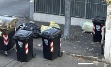 Via Cavedagni, "c'è chi continua a prenderla come una discarica..."