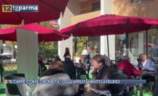 &laquo;Un caff&egrave; con il cronista&raquo;: le voci dei felinesi - Video