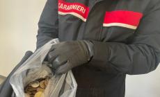 Entra di notte in una scuola e fa man bassa di monetine: 50enne arrestato in piazzale Sicilia 