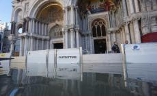 Le barriere di vetro fermano l'acqua: piazza San Marco allagata, basilica asciutta. Mai visto nella storia di Venezia - Le foto

