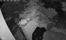 &nbsp;I ladri che cercano di entrare in casa immortalati dalle telecamere - Video 