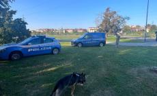 Il cane Havana della polizia scova 80 grammi di droga in tre parchi di Parma