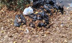 Via Vittoria, la campana di vetro invasa dai rifiuti