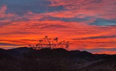 Tramonto a Cedogno: foto e video del lettore Andrea Rossi