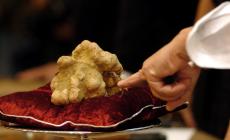 Tartufo bianco: vola a Hong Kong  il lotto più pregiato (a 184mila euro)