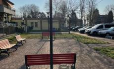 Coniglietto al parco ucciso da un grosso  cane