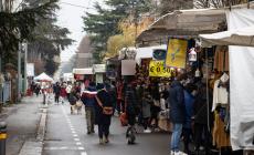 "Via Zarotto in festa": strada chiusa,  passeggiata libera e shopping