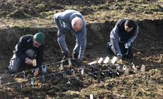 Bosco del Molino: ricercatori dall’università di Stoccolma  e di Parma per avviare un nuovo progetto di ricerca - Foto 