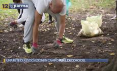 Una rete di associazioni insieme per il decoro della città - Video