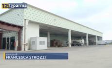 Pmi Day: studenti della scuola Vicini in visita alla Coppini Arte Olearia